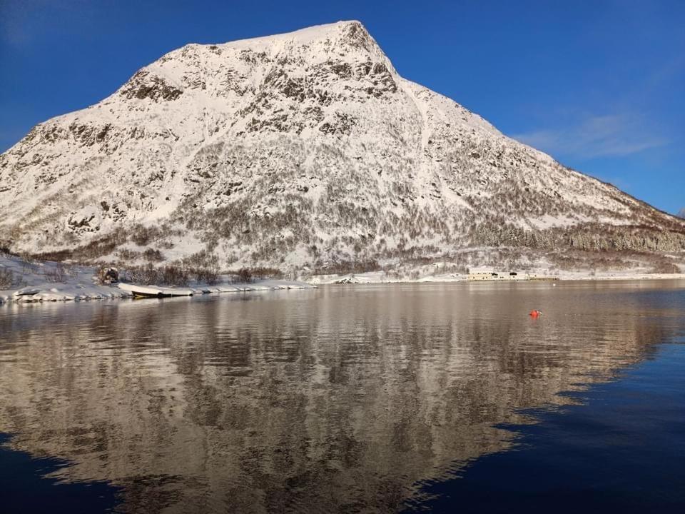 Hammerstad Camping Svolvaer Exterior photo